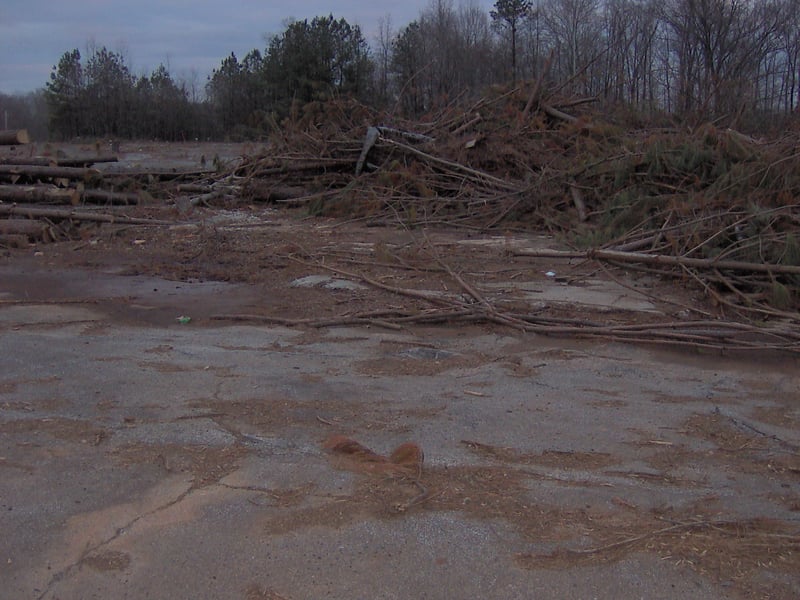 There is another photo of this I took on April 20, 2005. Compare it to this one. This is where the projector house/concession stand was. Look at the bottom of the pile and you can make out the slab.