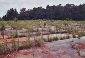 Looking towards the back of the field