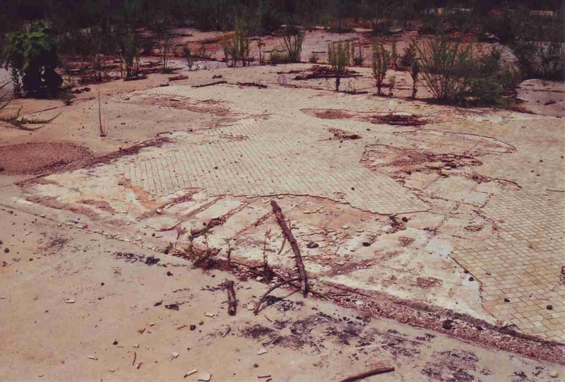Remains of once tiled floor in the concession/projection building
