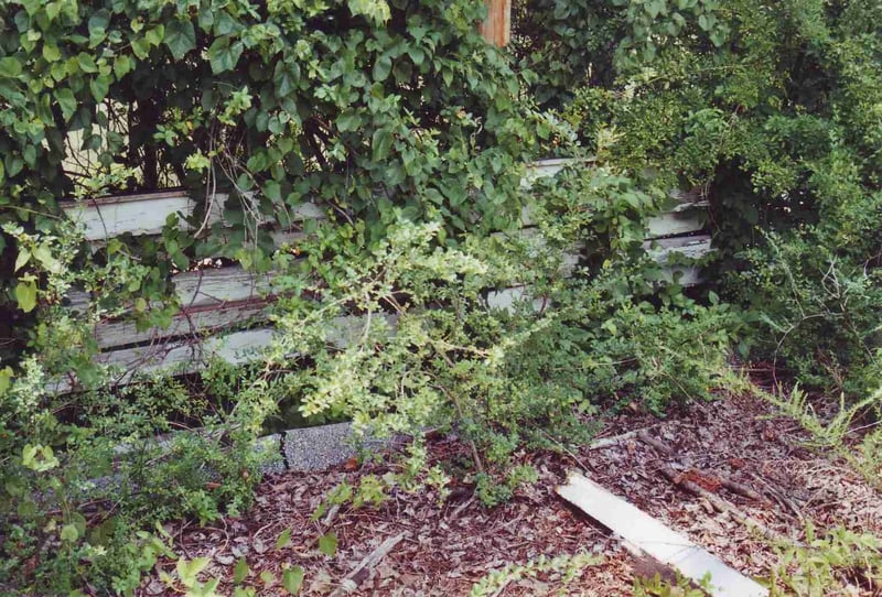 A piece of the perimeter fence along the entrance road