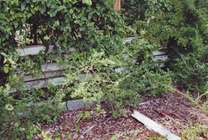 A piece of the perimeter fence along the entrance road