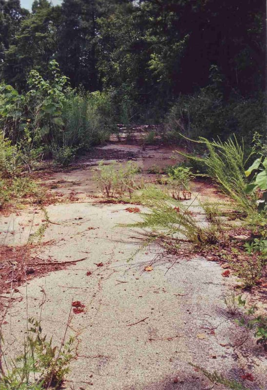 A lot has grown in the meantime on and next to the entrance road. The ticket booth is hidden behind bushes at the far end