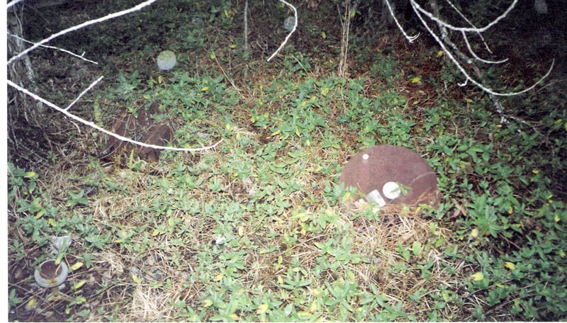 Projector magazines in grass, also a couple of reels that are not shown