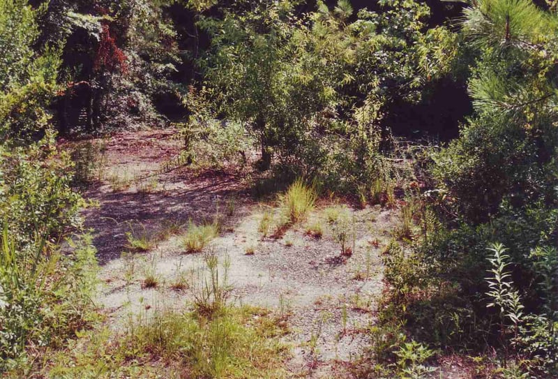 Overgrown former ticket booth location