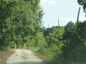 entrance road