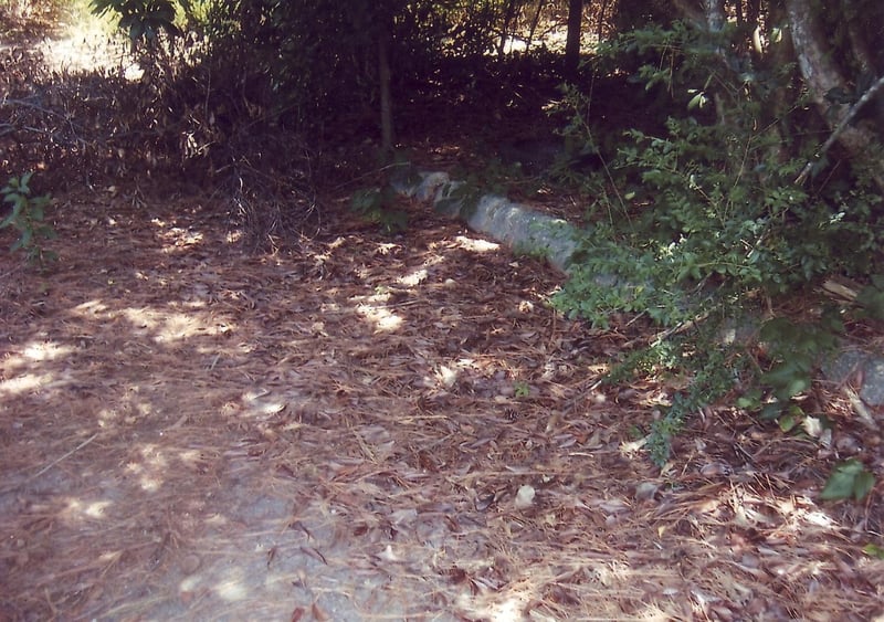 Remaining curb stones along entrance road