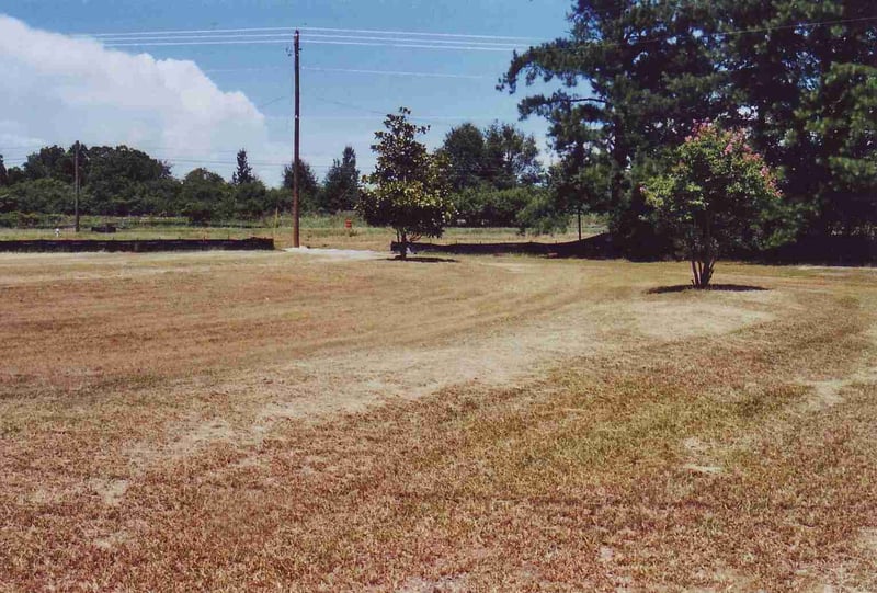 Field and exit road at phone pole