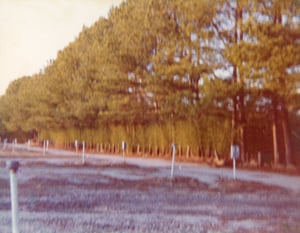 Row markers and speaker poles at the Lake Lanier Drive-In. Photo from the late 70's.