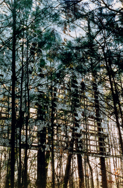 The sreen is so buried in the pine thicket it is difficult to see. It is in tatters but the poles are still sturdy.