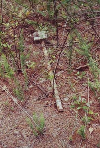 gatlith020.jpg