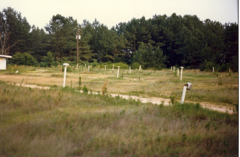 The field at the Moon Lit