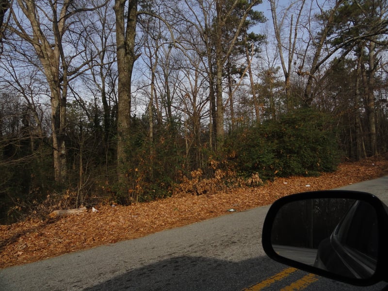 former site-now all woods-across from boarded up housing