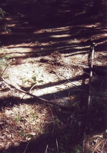 After checking out the forest for a while, I found a patch of asphalt apart from the speaker poles indicating the presence of a drive-in a very very long time ago