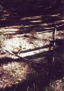 After checking out the forest for a while, I found a patch of asphalt apart from the speaker poles indicating the presence of a drive-in a very very long time ago