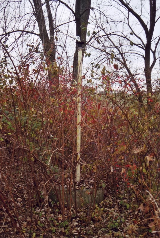 light fixture along entrance/exit road