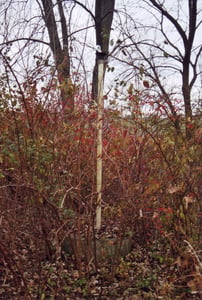 light fixture along entrance/exit road