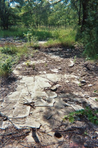 Concession building foundation with broken tile remains.