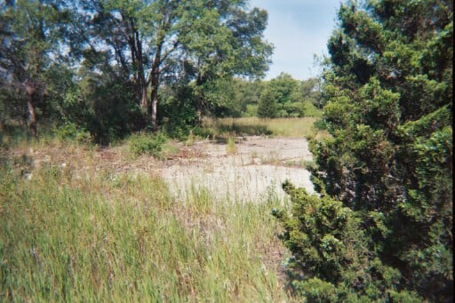 Concession building foundation in a clearing.