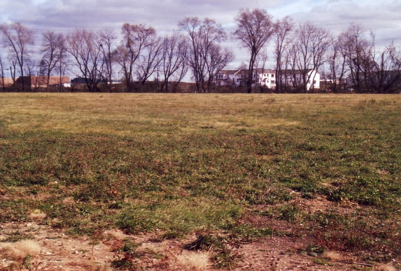 Open field behind businesses