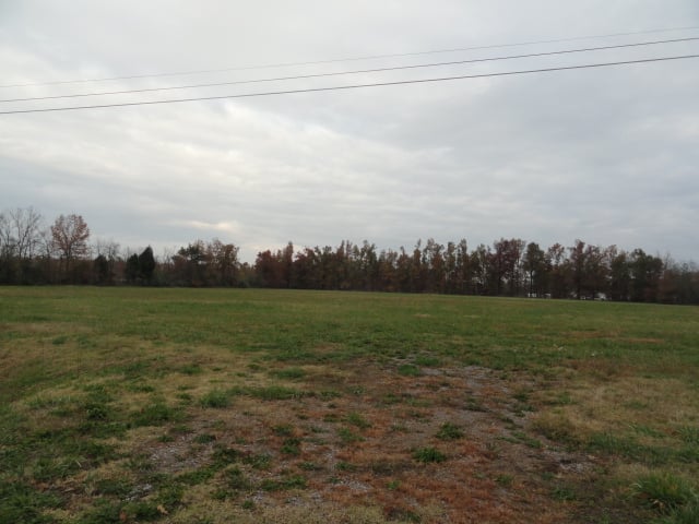 Just an empty field
