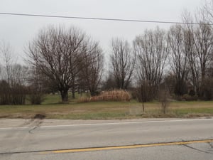 Faint outline of entrance road which ran from marquee south toward the screen