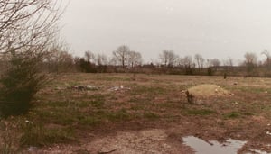 Remains of grounds of former Widescreen Drive-In, not yet developed to other uses.