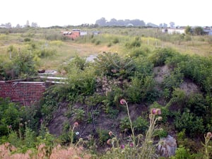 Ramped field with speaker poles and project building