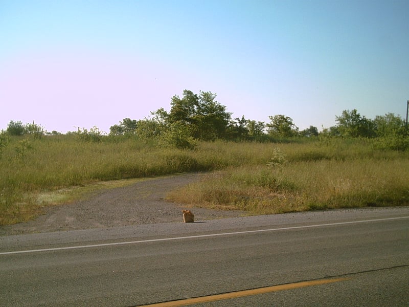 Gordon Drive-In exit