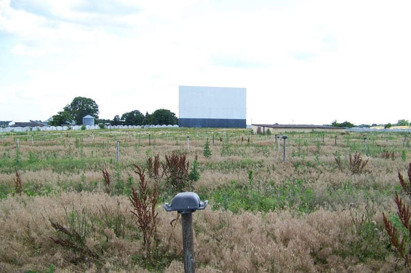 The field becoming overgrown.