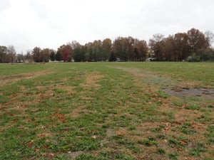 Former site-ramps still visible