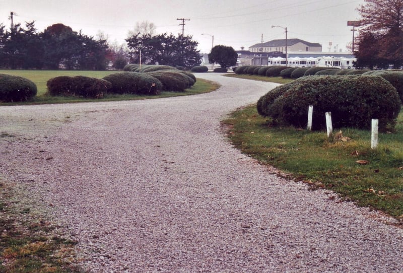 Well-trimmed bushes along entrance/exit road