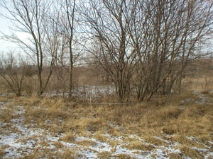 Foundation of snack bar and projection booth.