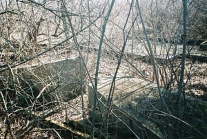 iltskyl014.jpg