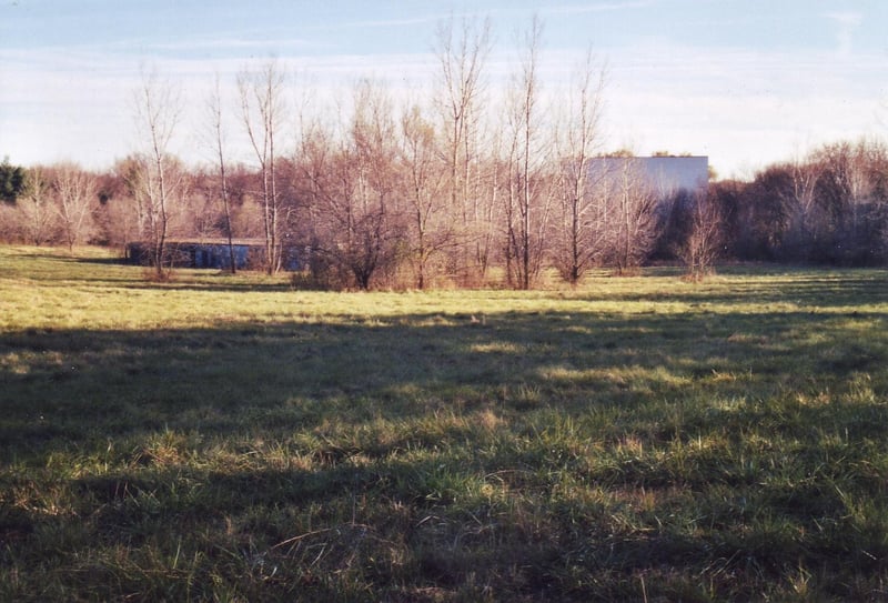 Large field