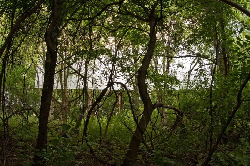 The thick overgrown trees and other vegetation made it hard to locate the screen. I pulled out the Google Maps app on my phone and turned on realtime GPS and satellite view. Then I was able to finally find the camouflaged screen