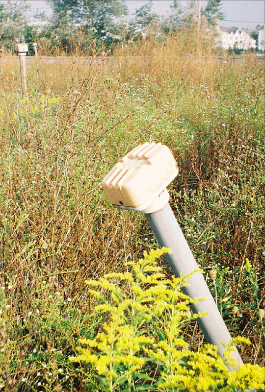 Speakers stands amid overgrown field.