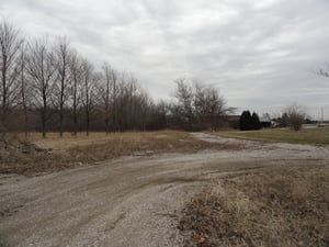 entrance road and part of field to the left