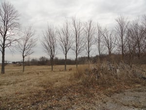 former site now an empty field