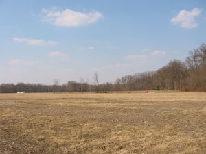 The field.  Gravel strips still visible.