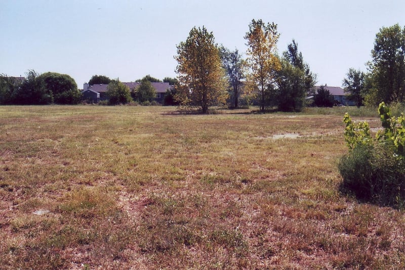 Empty field