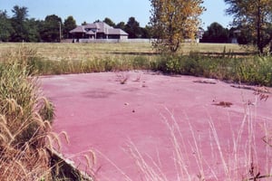 The pink-colored platform of the concession building is the only remain of the drive-in