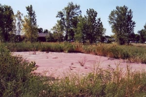 Concrete plaform where the concession building once stood on. The area of the screen tower now occupies the White Eagle Credit Union