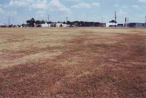 Field