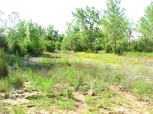 This is what is left of the parking lot at the Kansas Drive-in