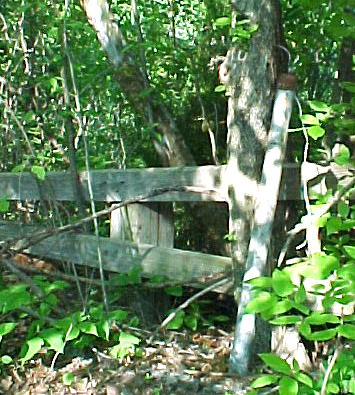 Here is part of the fence and a light pole that ran along both sides of the entrance.