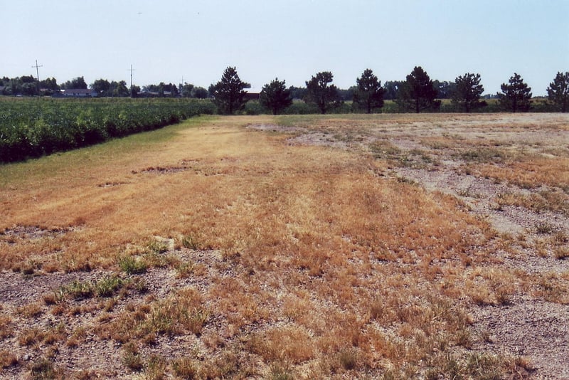 View of the lot next to Faith Bible Church