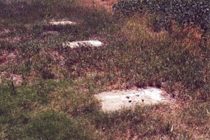 When checking out the area where the screen should have been, I found the concrete slabs from the screen tower beside a few trees