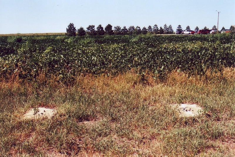 View from the position behind the screen tower