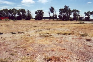General view of the empty lot behind the concession building