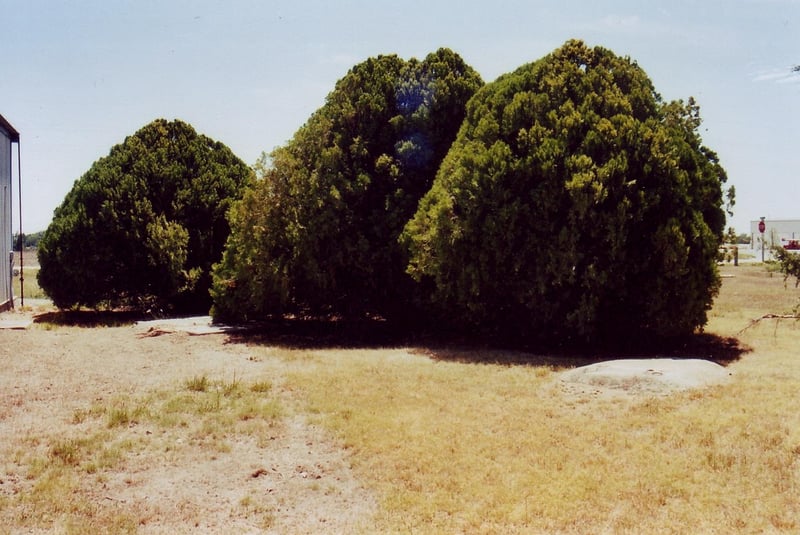 The screen tower foundations could be found behind a small warehouse